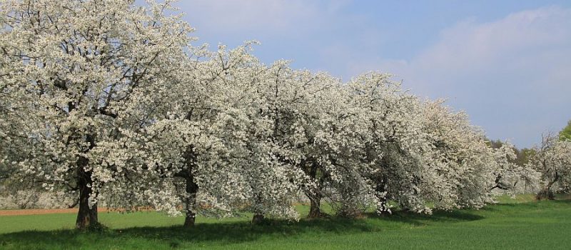 Freizeitspass Nordhessen